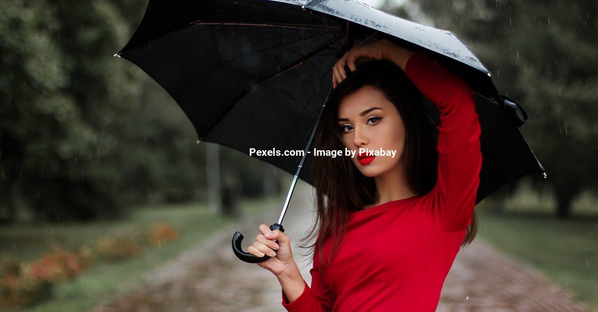Hvilken paraply er bedst i test og beskytter godt mod regn ?